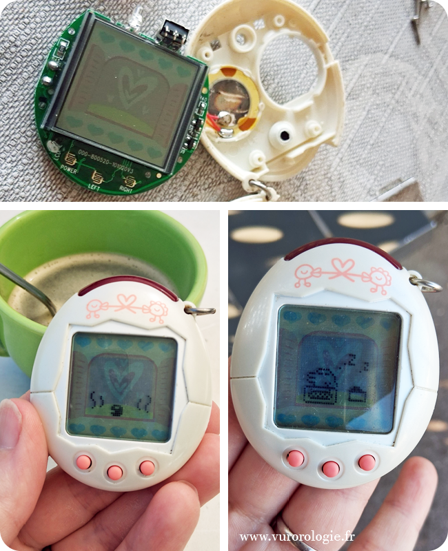 Tamagochi photo